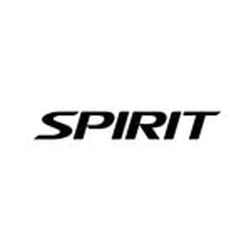 @spirit profile image
