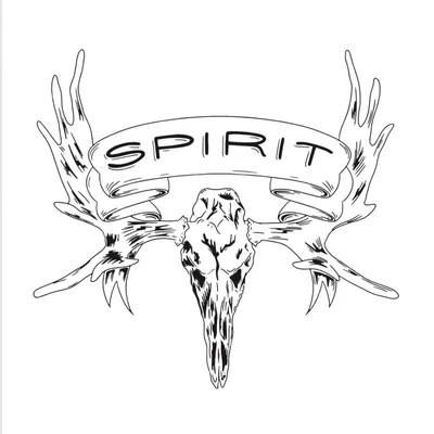 @spirit_eats profile image