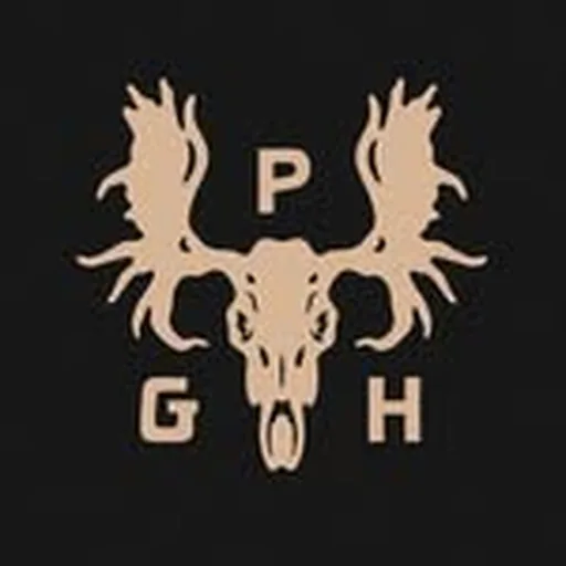 @spiritpgh profile image
