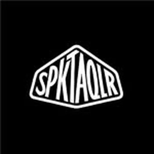 @spktaqlr profile image