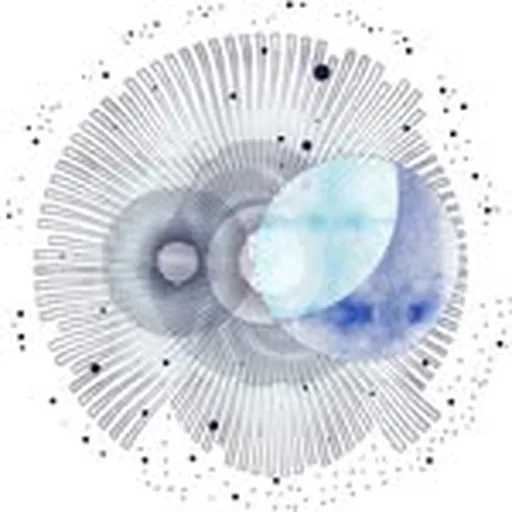@spore.initiative profile image