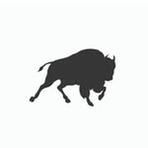 @sportiqe profile image