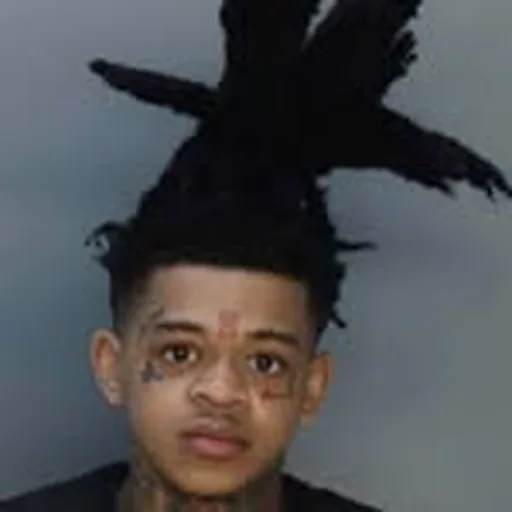 @spotemgottem profile image