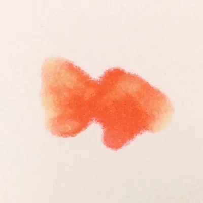 @spsp88 profile image