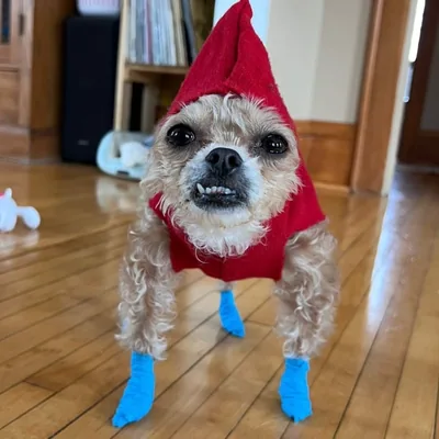 @spud.the.cryptid profile image