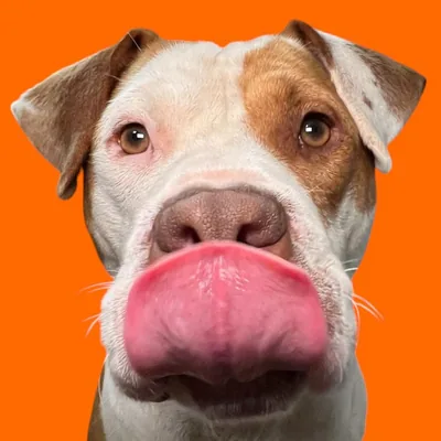 @spudsymutt profile image