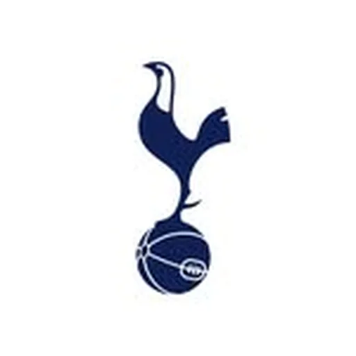 @spursofficial profile image