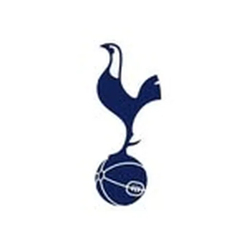 @spurswomen profile image