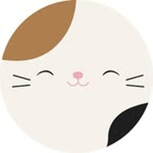 @squishmallows profile image