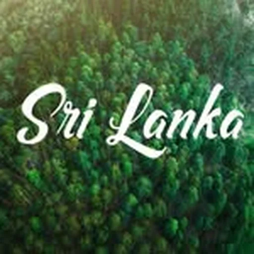@srilanka profile image