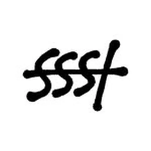 @ssst_id profile image