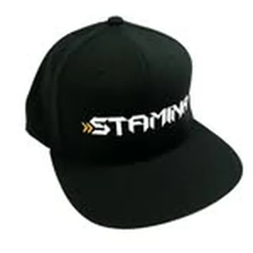 @staminasundays profile image