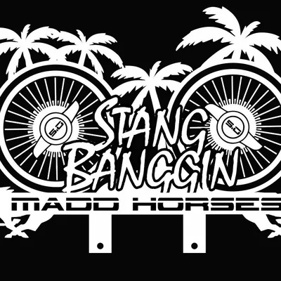 @stangbanggincarclub profile image
