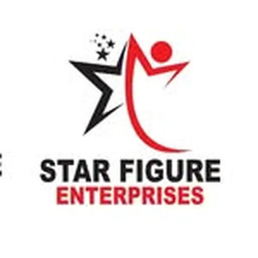 @star_figure_enterprises profile image