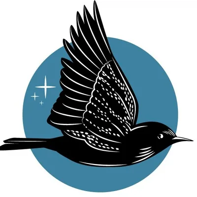@starlingliterary profile image