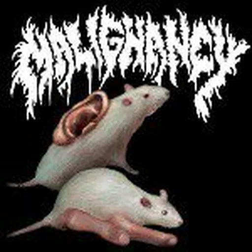 @staymalignant profile image