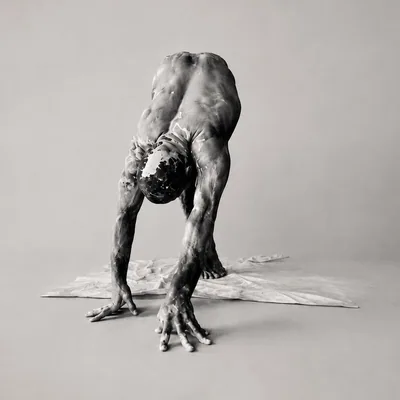 @stefano.silvino profile image