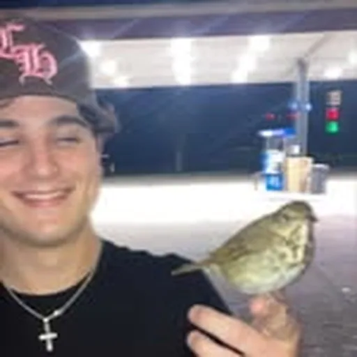 @stevewoahhh profile image