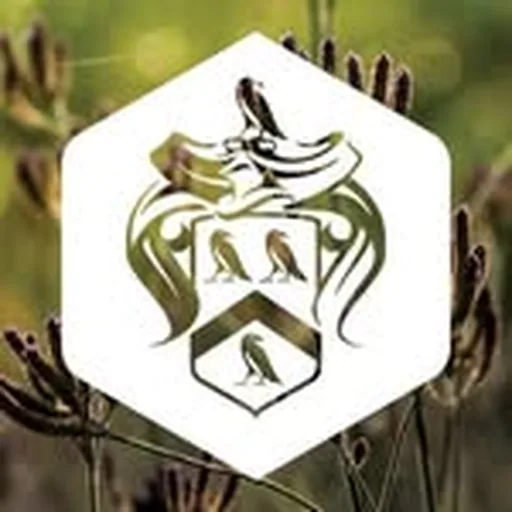 @steyn_city profile image