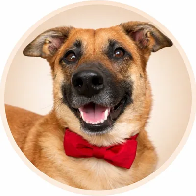 @stickwithbernie profile image