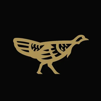 @stollerwine profile image