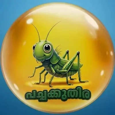@stories.in_kollamkaran profile image