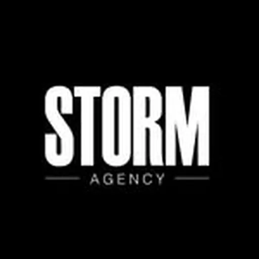 @stormartistagency profile image