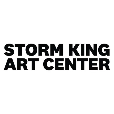 @stormkingartcenter profile image