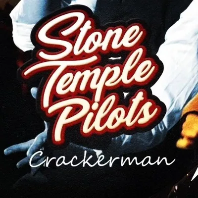 @stptributebr profile image