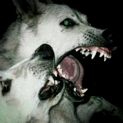 @strange_bones profile image