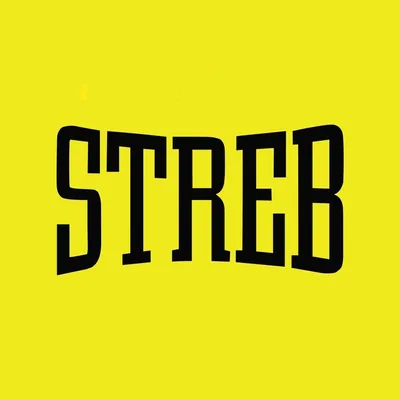 @streb_extreme_action profile image