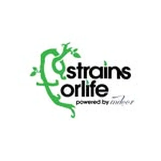 @strnsforlife profile image