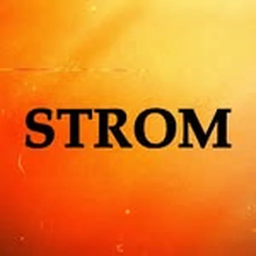 @strom.munich profile image
