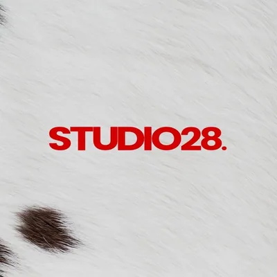 @studio28ba profile image