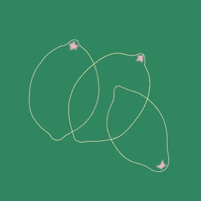 @studiocitronrose profile image