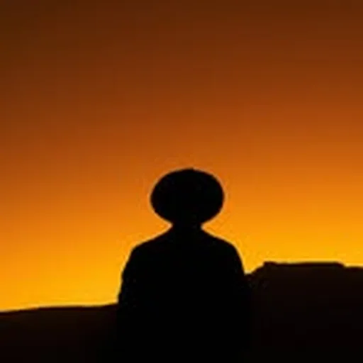 @stularsen profile image