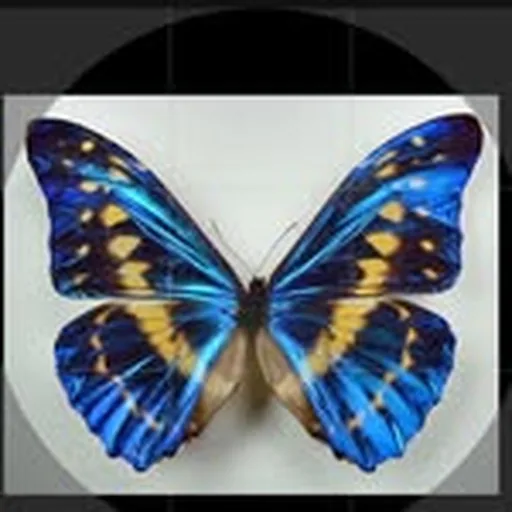 @style_kingg_ profile image