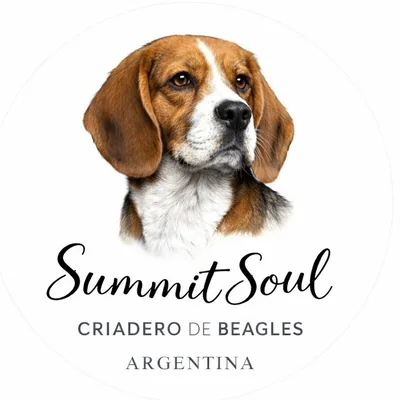 @summitsoulbeagles profile image