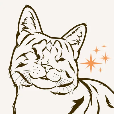 @suncatchersanctuary profile image