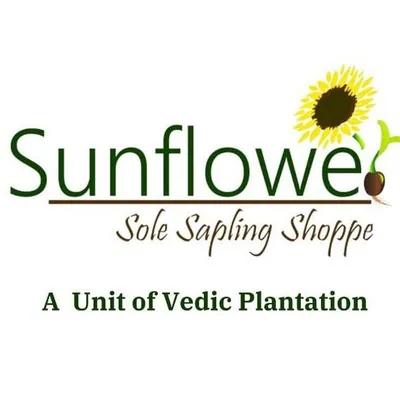 @sunflower_sole profile image