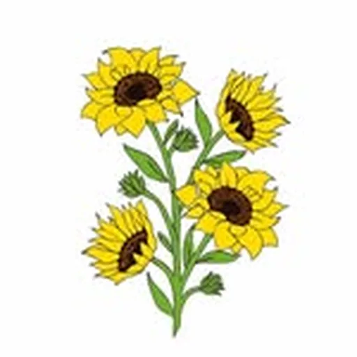 @sunflowerbyeva profile image