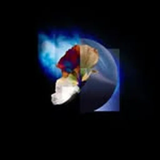 @sungazerrrr profile image