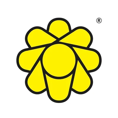 @sunrightteastudio.norcal profile image
