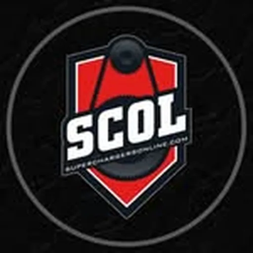 @superchargers_online profile image