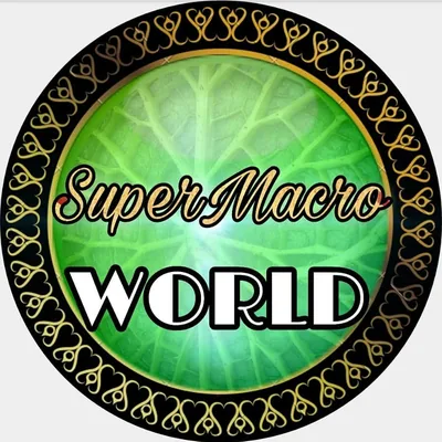 @supermacro_world profile image