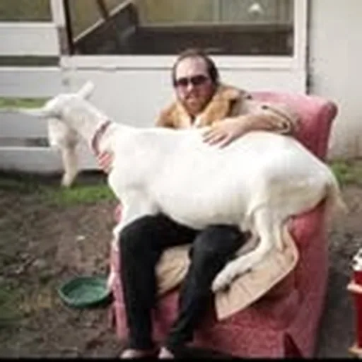 @surfinggoats profile image