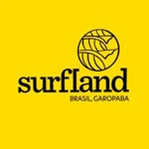 @surflandbrasil profile image