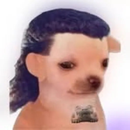 @suscato profile image