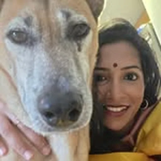 @sushmasaurus profile image