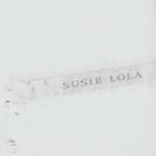 @susielola.art profile image